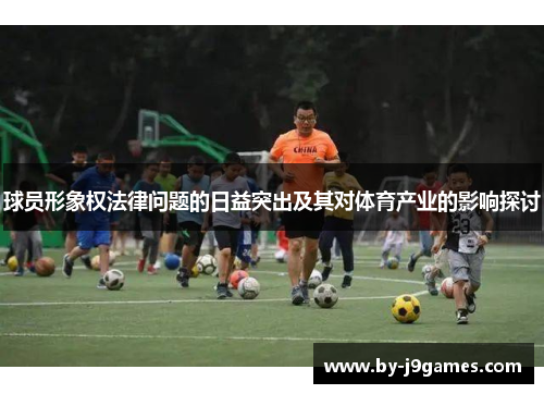 球员形象权法律问题的日益突出及其对体育产业的影响探讨